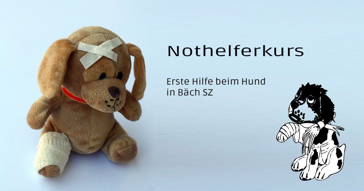 Welpen Kauf