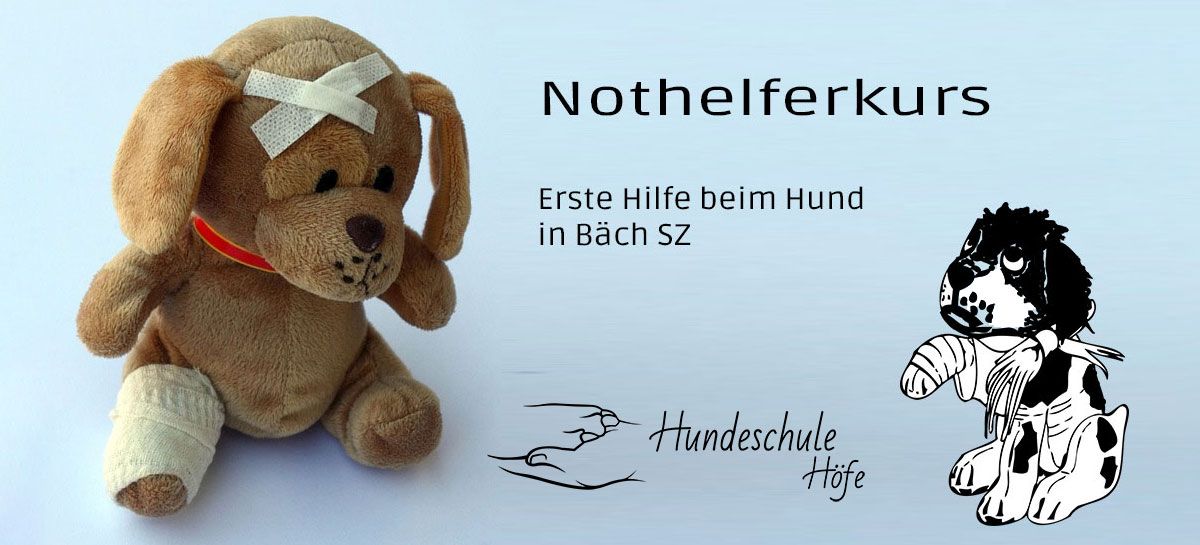 Nothelferkurs Erste Hilfe beim Hund